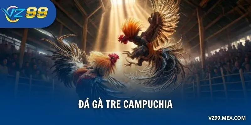 Đá Gà Tre Campuchia