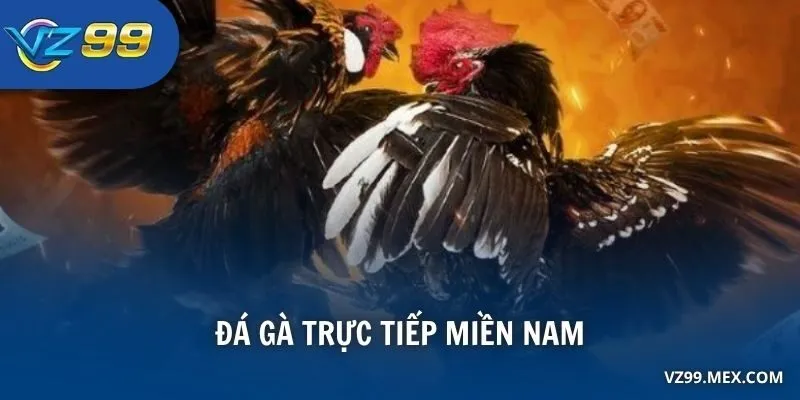 Học hỏi kinh nghiệm từ cao thủ để tăng cơ hội chiến thắng