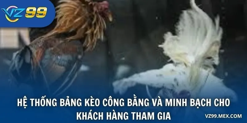 Hệ thống bảng kèo công bằng và minh bạch cho khách hàng tham gia