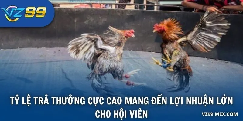 Tỷ lệ trả thưởng cực cao mang đến lợi nhuận lớn cho hội viên
